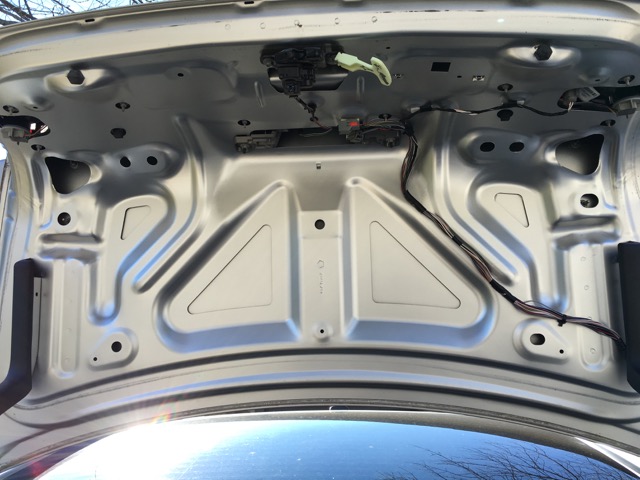 Naked lid Felt removed